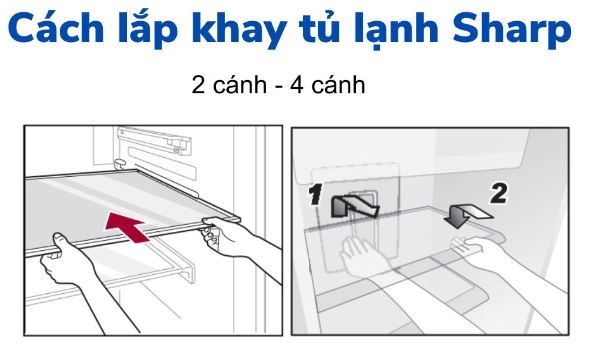 Chi tiết cách lắp khay tủ lạnh Sharp