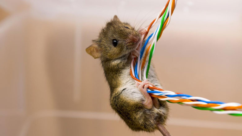 Cách sửa lỗi FA máy giặt Aqua nhanh chóng tại nhà