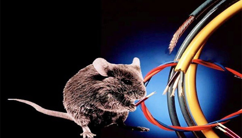 Lỗi E7 máy giặt Aqua