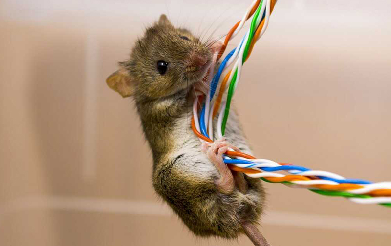 Lỗi H29 máy giặt Panasonic